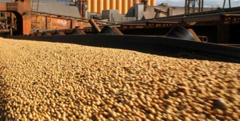 Angola arrisca sanções da OMC ao impor restrições para dinamizar importação a granel 
