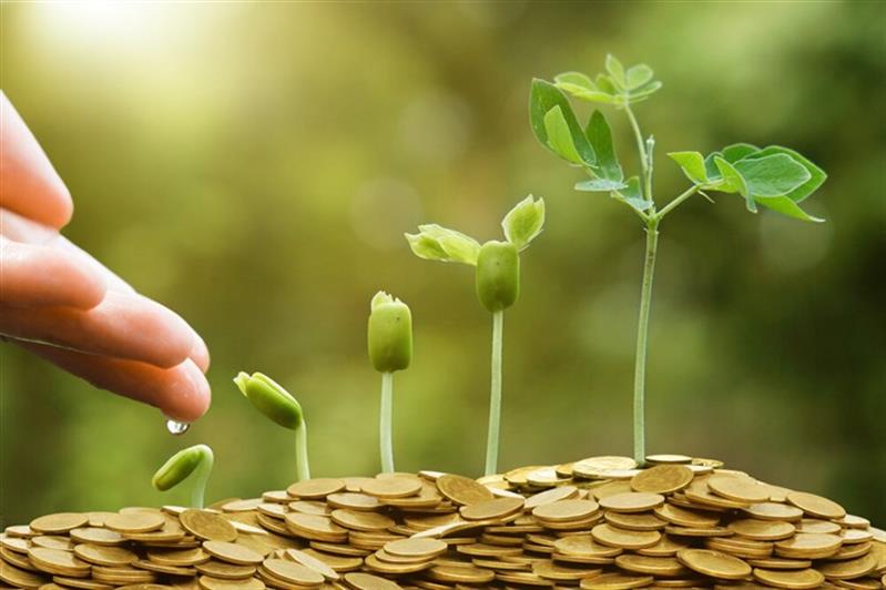 Green finance: o sistema financeiro ao serviço do desenvolvimento sustentável