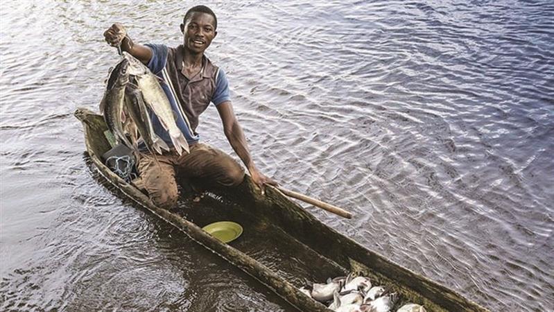Novo plano para mudar pescas até final de Junho na Guiné-Bissau