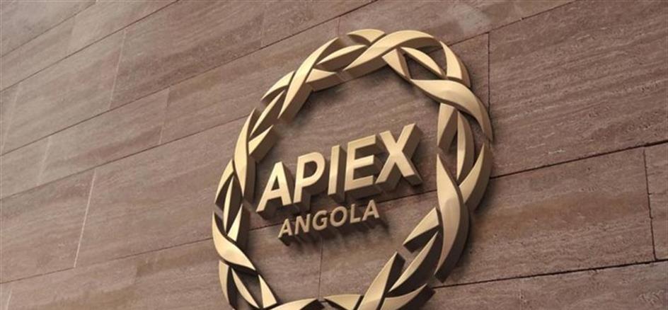 Cerca de 80% das propostas de investimento aprovadas pela AIPEX ficam em Luanda