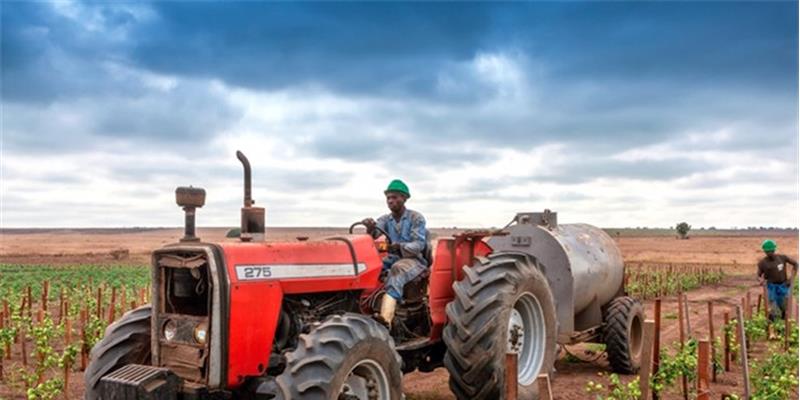 IGAPE põe quatro empreendimentos agro-industriais na rota da privatização imediata