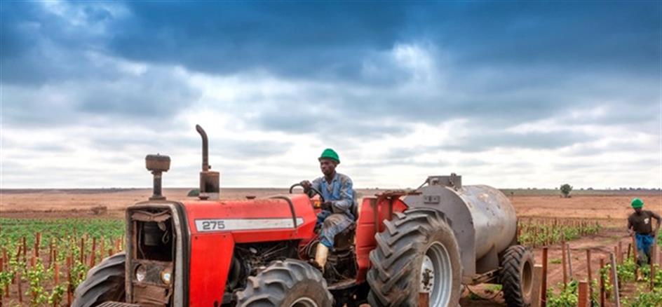 IGAPE põe quatro empreendimentos agro-industriais na rota da privatização imediata