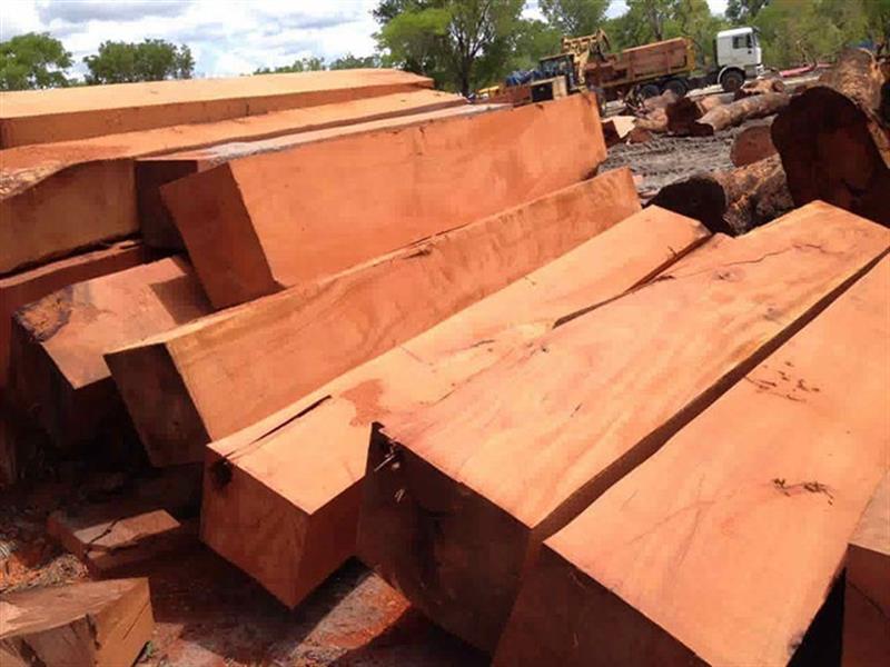 Exportações de madeira serrada caíram 58%  para 33,4 mil metros cúbicos 