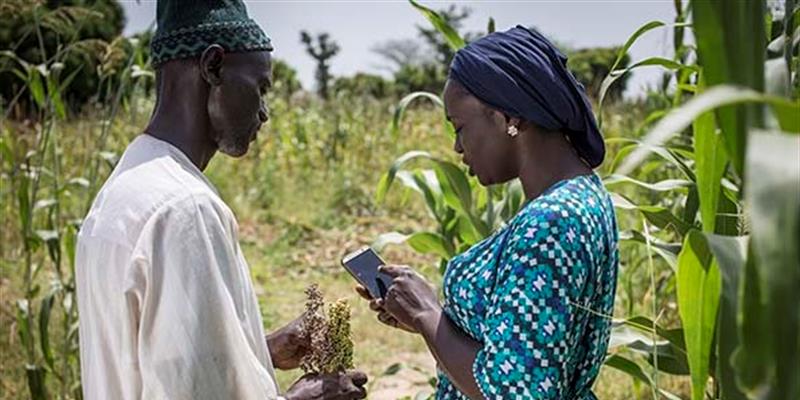 Ndeye Amy Kebe - A decifradora de TIC que espalha as melhoras práticas pelos campos agrícolas