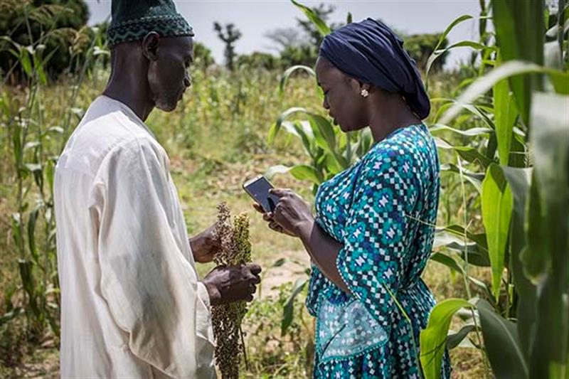 Ndeye Amy Kebe - A decifradora de TIC que espalha as melhoras práticas pelos campos agrícolas