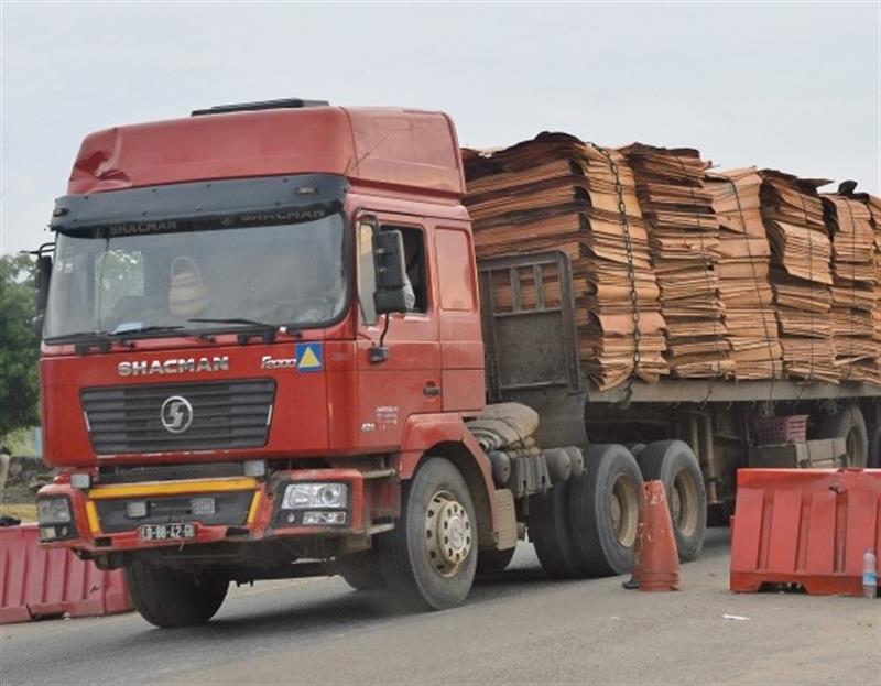 Entrepostos florestais vão 'apertar o cerco' ao comércio de madeira