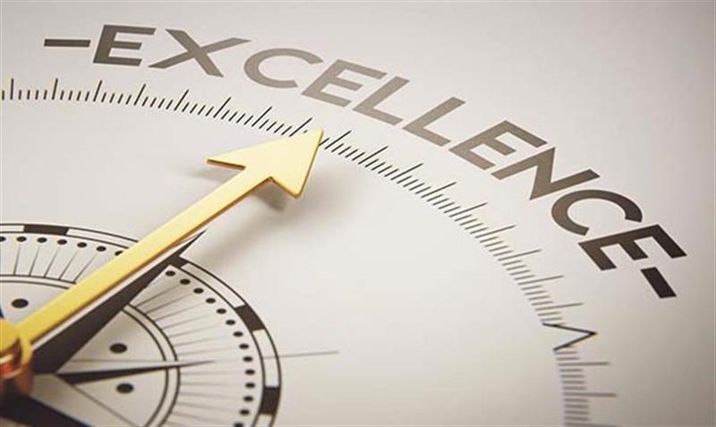 Customer Experience Excellence - Insights para o desenvolvimento das empresas nacionais