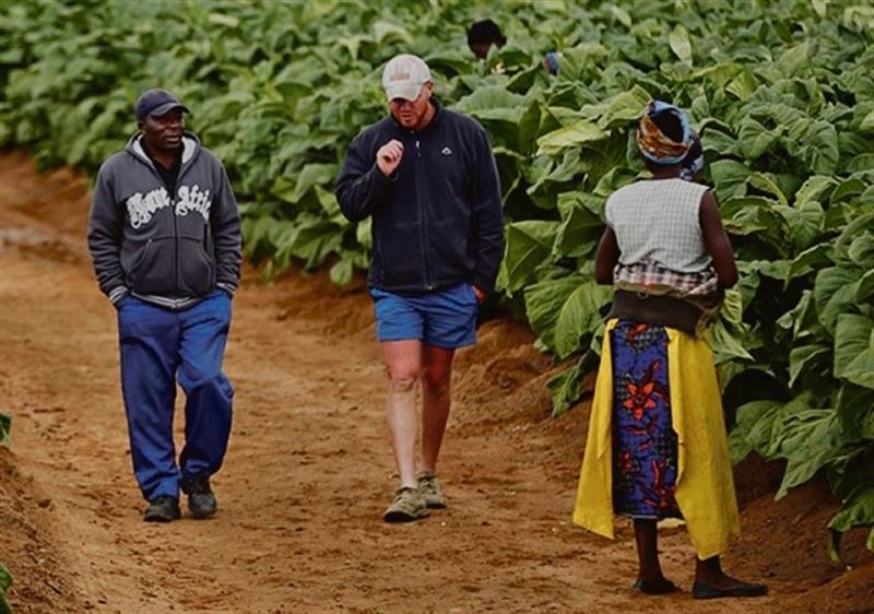 Zimbabué aprova legislação que permite restituir fazendas