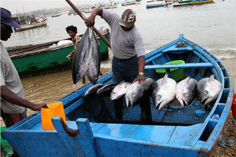 Fomento da pesca artesanal em sete municípios da Huíla